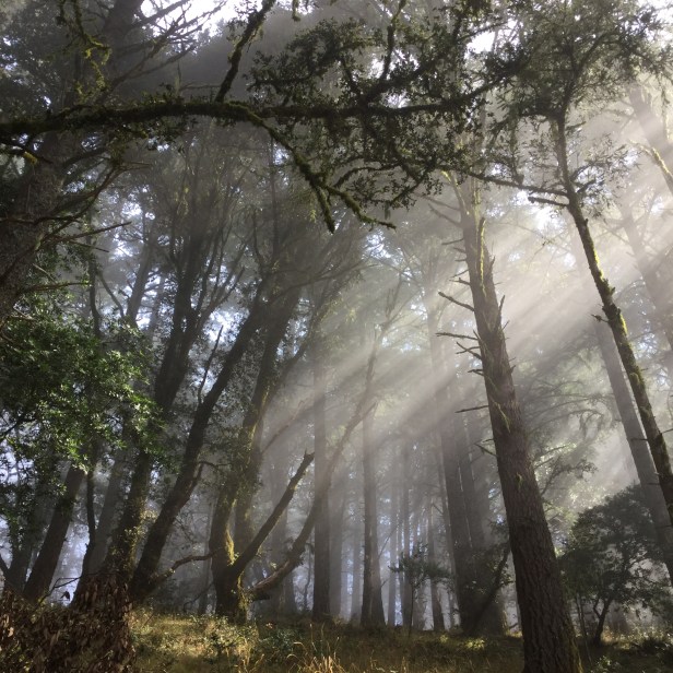 F3E56BA2-58B6-4E2E-A15C-EDD70ECBF0E7