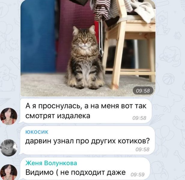 часть8_1_дарвин