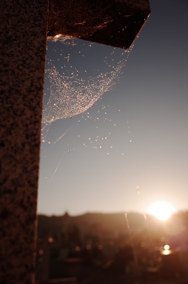 часть9сон2_9