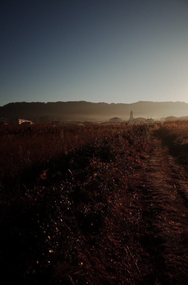 7_поля пустые