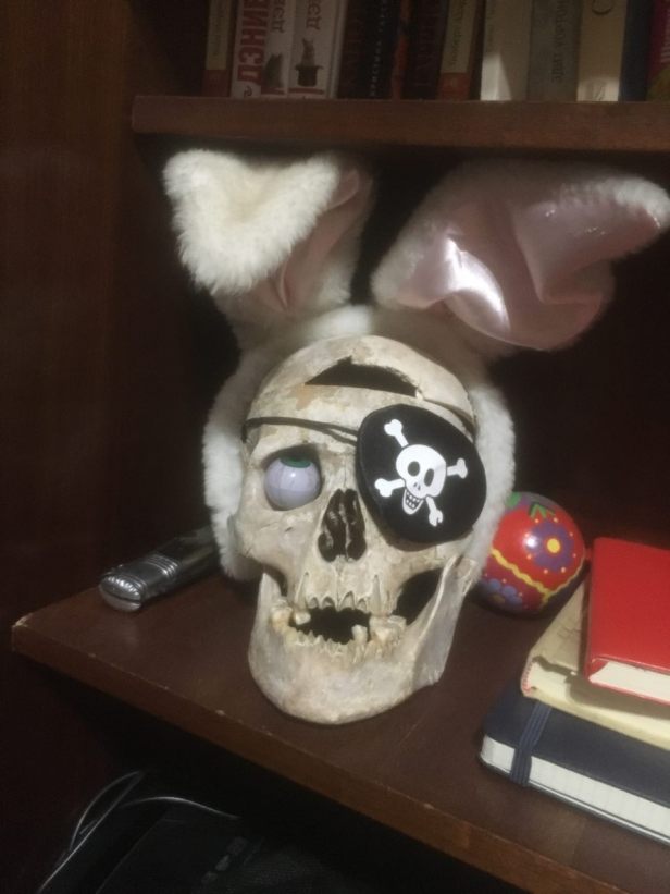 череп юкосика